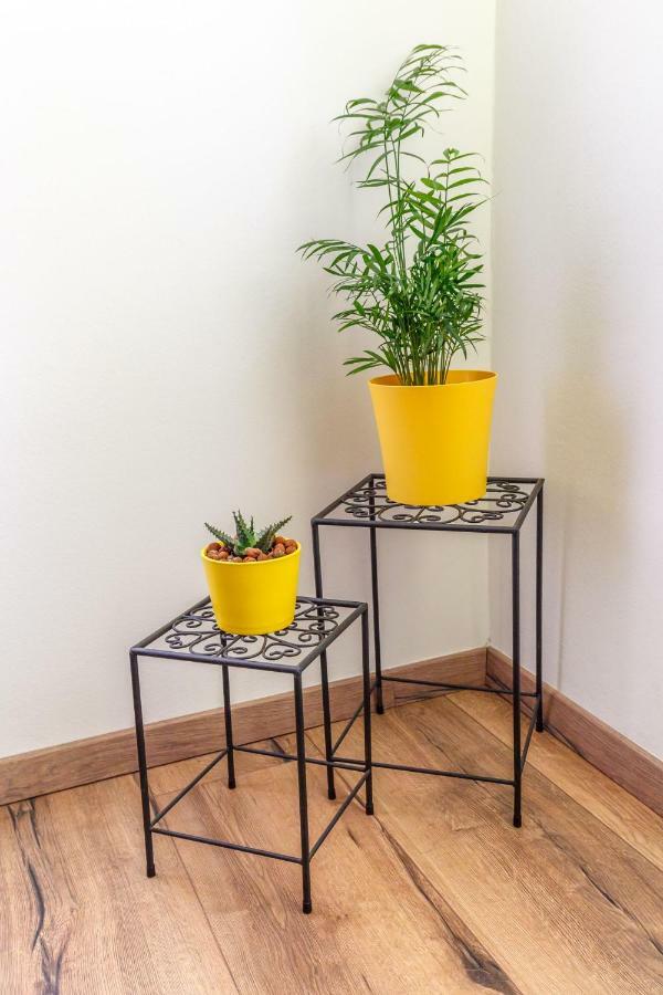 Apartment Arnold Rijeka Zewnętrze zdjęcie
